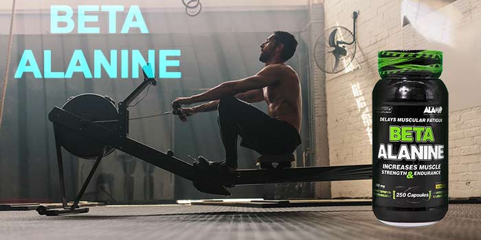 کپسول بتا آلانین آلامو