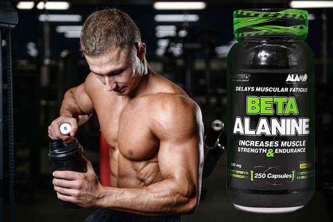 مکمل بتا آلانین آلامو