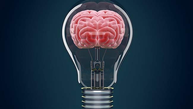 سلامت مغز با منیزیم ب6 آلفا