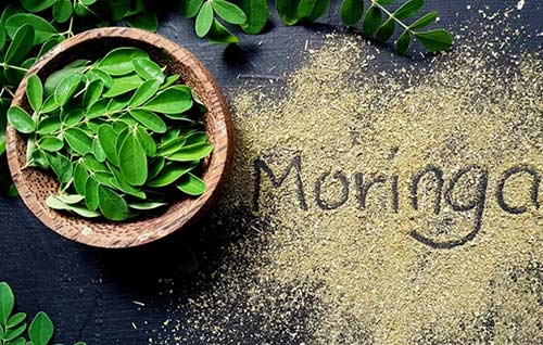 ترمو اسلیم و مورینگا