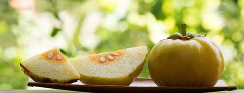 کپسول ترمو اسلیم 