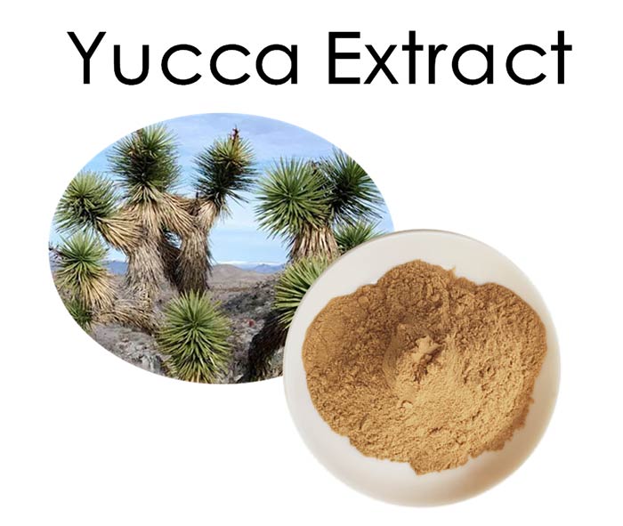 خواص عصاره یوکا