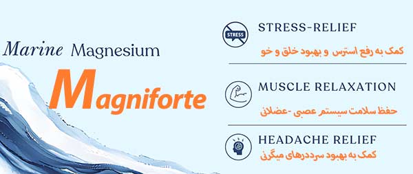 کپسول مگنی فورت آرین سلامت سینا