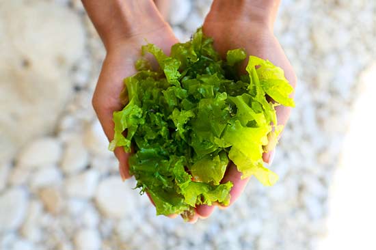 عوارض کپسول متا اسلیم