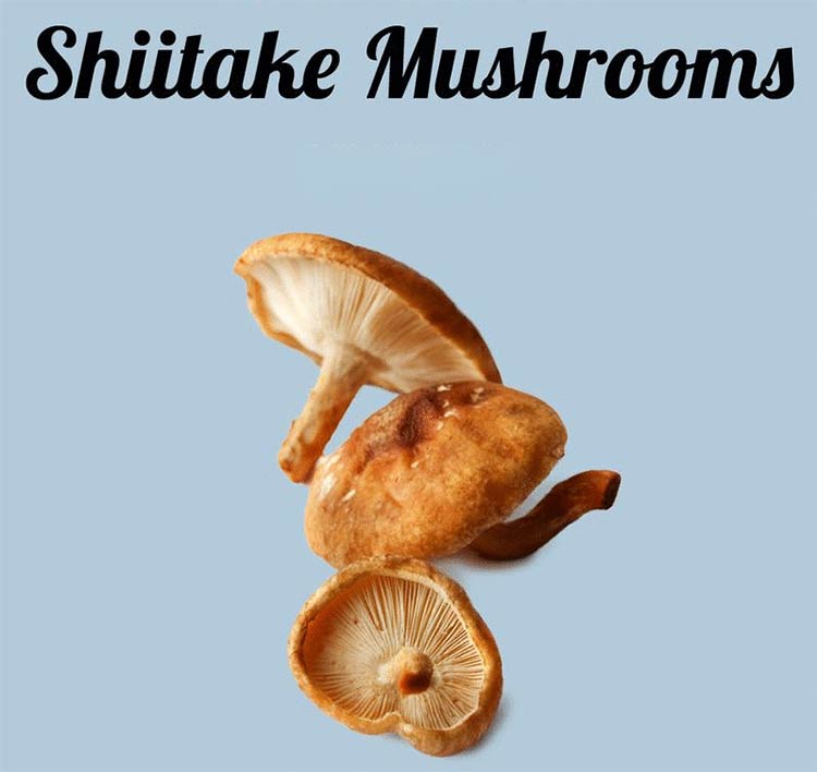 قارچ گانودرما در کپسول هگزایم