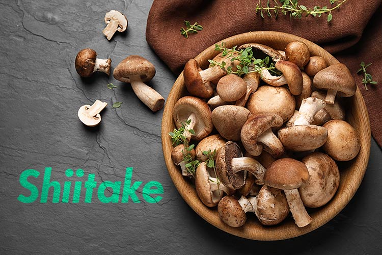 فواید قارچ شی تاکه در درمان زگیل تناسلی