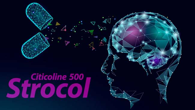 سیتی کولین 500 اشبال شیمی