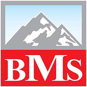 بی ام اس چیست