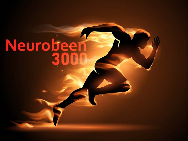 ویال نوروبین بی اس کی