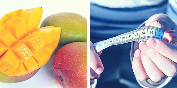 مانگو اسلیم