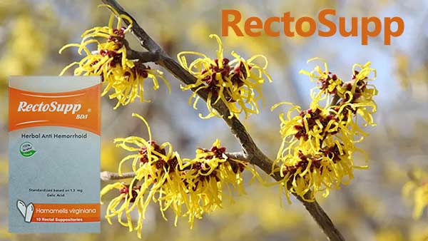 شیاف رکتوساپ برای درمان بواسیر