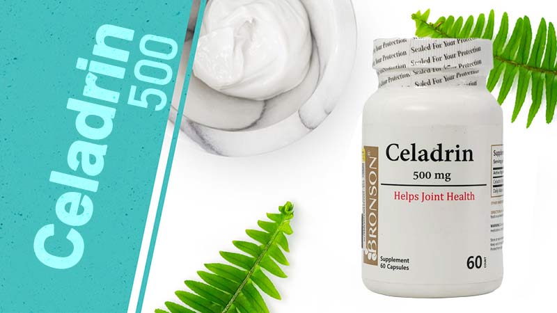 سلادرین برونسون