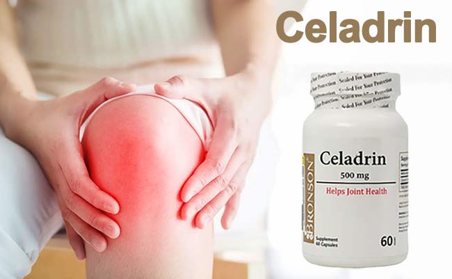 سلادرین 500 برونسون