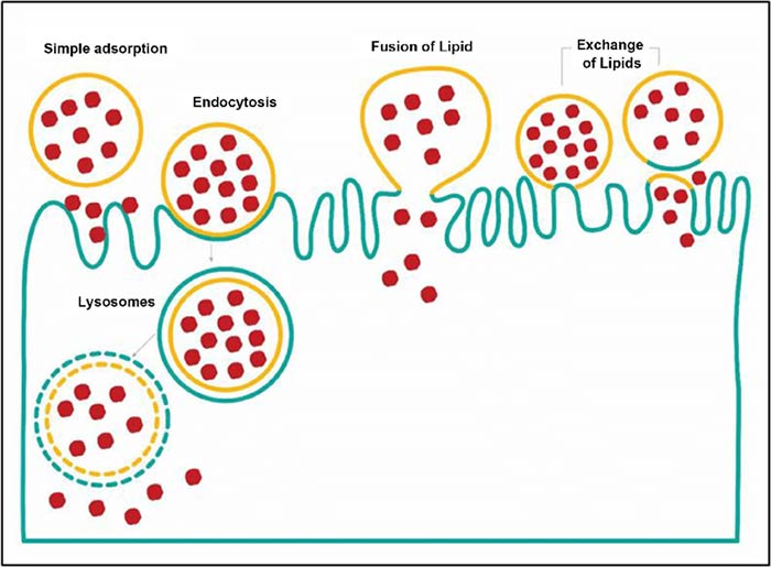 قطره آهن کودک آیروفیکس فورت لیپوزومال