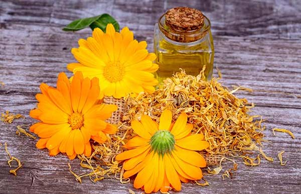 پماد کالاندولا دینه 30 گرم