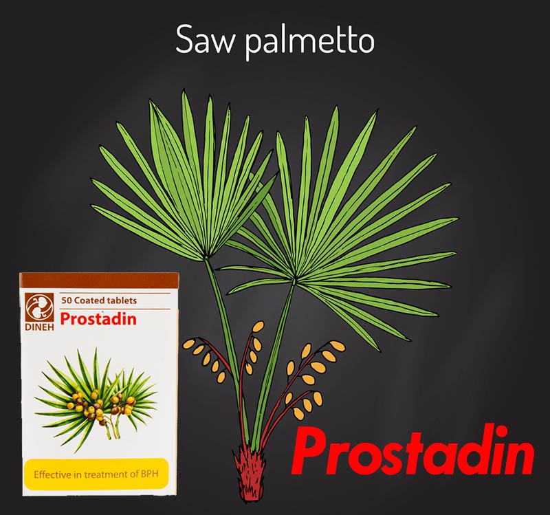 قرص پروستادین دینه