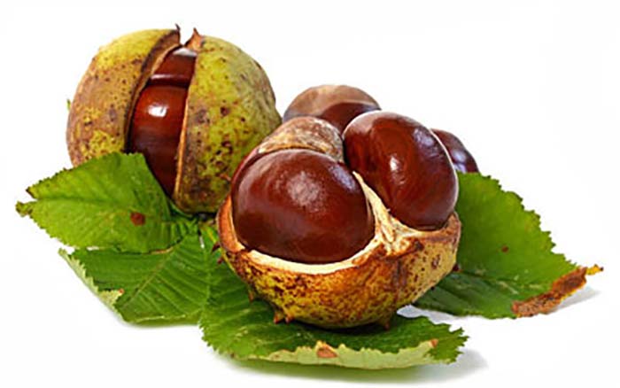 ونوویتال برای درمان واریس بواسیر و واریکوسل