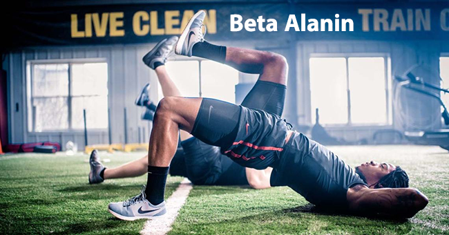 پودر بتا آلانین دوبیس