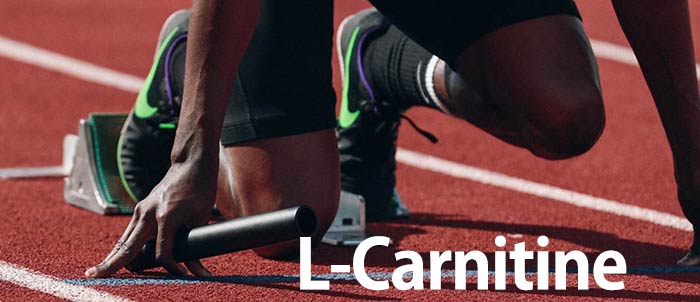 مکمل کارنیتین در داروخانه آنلاین داروکالا