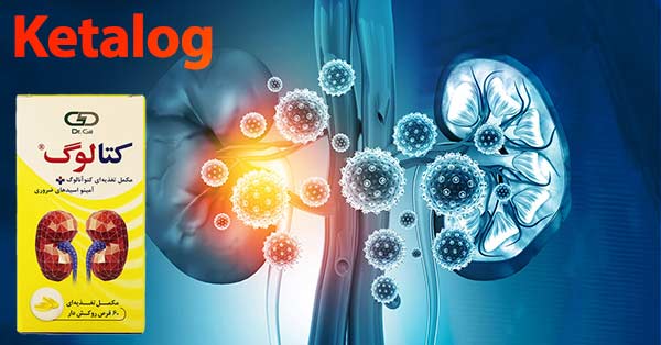 قرص کتالوگ برای چیست؟