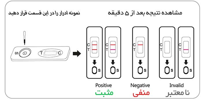عکس بی بی چک منفی و مثبت