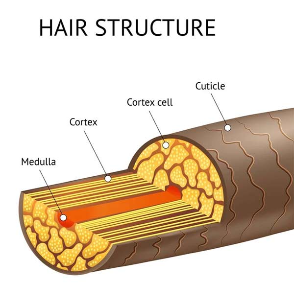 کراتین پلاس یوروویتال