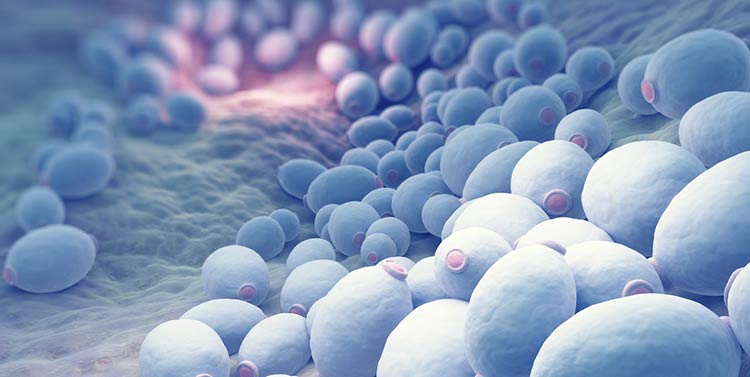 درمان اسهال با سابولار فرابیوتیک