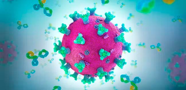 دورا لایف دیابتیک و تقویت سیستم ایمنی