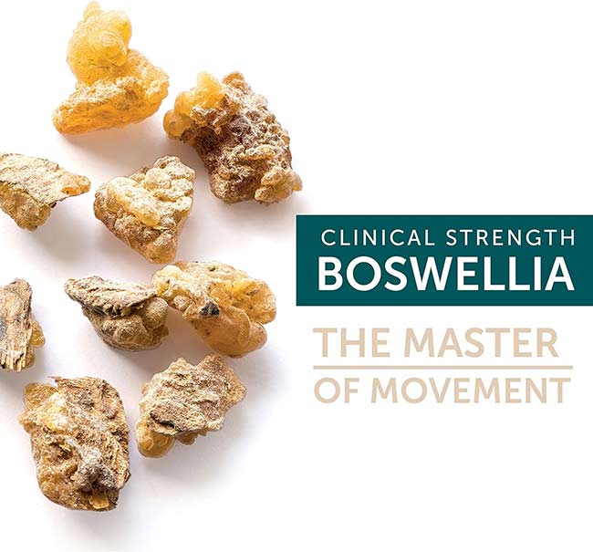 قیمت و خرید فلکسی نورم فلکسان