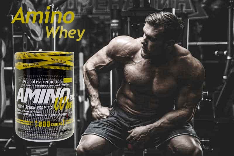 آمینو وی ژن استار ۸۰۰ عددی