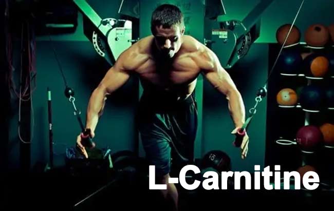 مکمل کارنیتین 1000 ژن استار 100 عددی