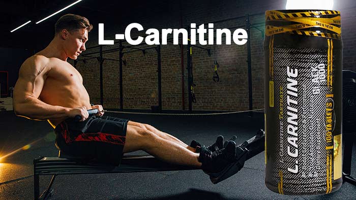 genestar carnitine 1000