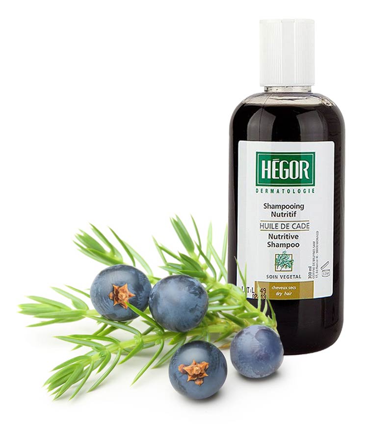 شامپو کاد اویل هگور