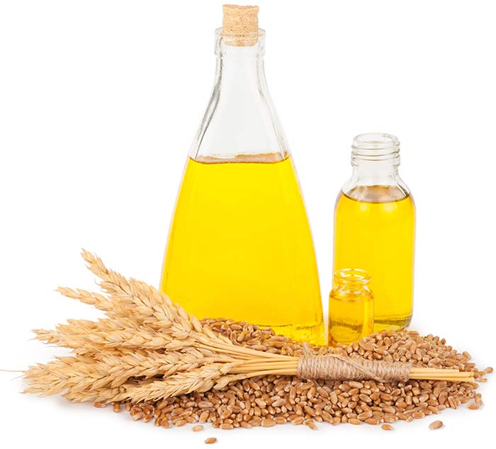 شامپو آنتی ایج جینسینگ هگور