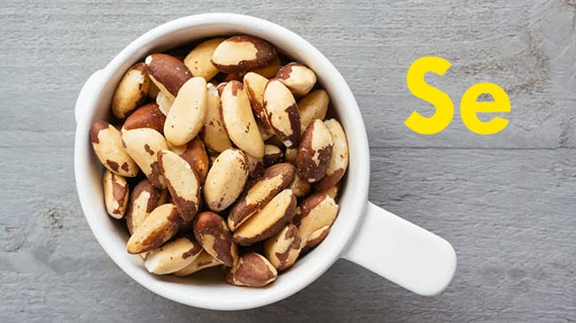 سلنیوم برای تقویت قوای باروری در ایکسوویت