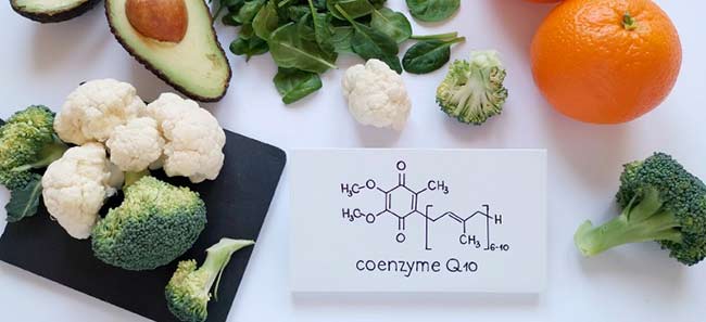 کوکیوتن چیست