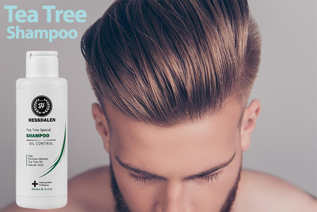 شامپو درخت چای هسدالن برای موی چرب