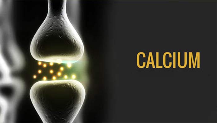 کلسیم در بدن چه نقشی دارد