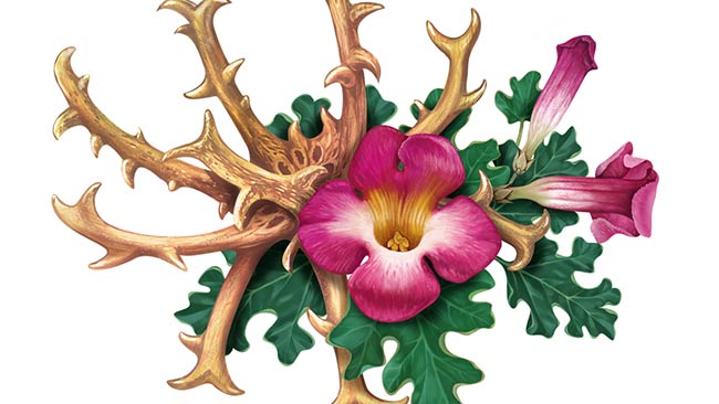 قرص دویلتفین ایریانیک