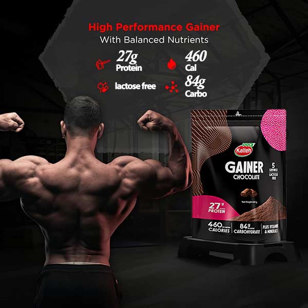 گینر کاله قیمت