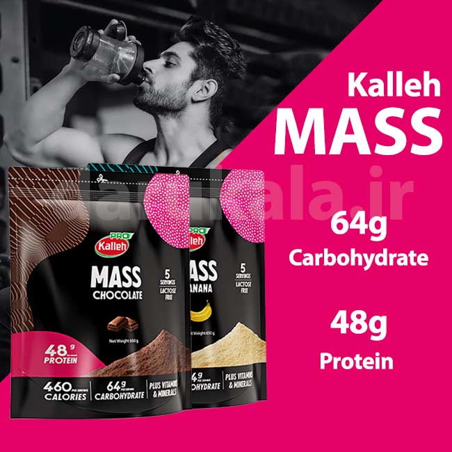 مس گینر کاله کیسه ای 