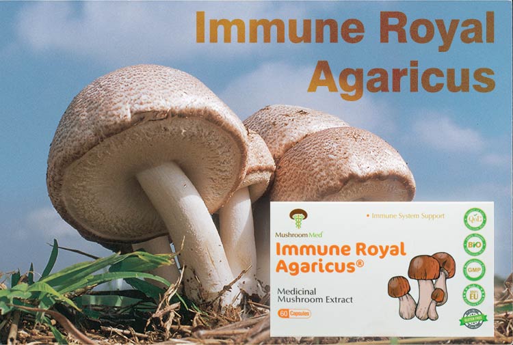 کپسول ایمیون رویال آگاریکوس ماشروم مد