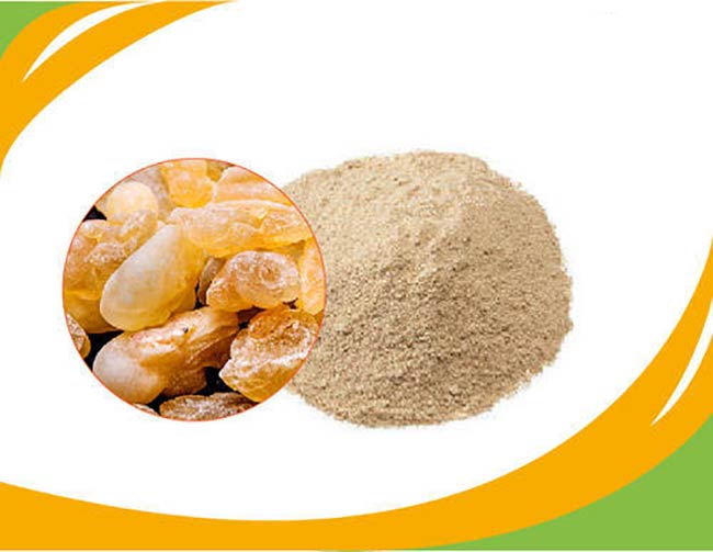 بوسولیا چیست