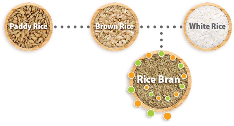 خرید پودر سبوس برنج ناژوانیا ناژون گیاه