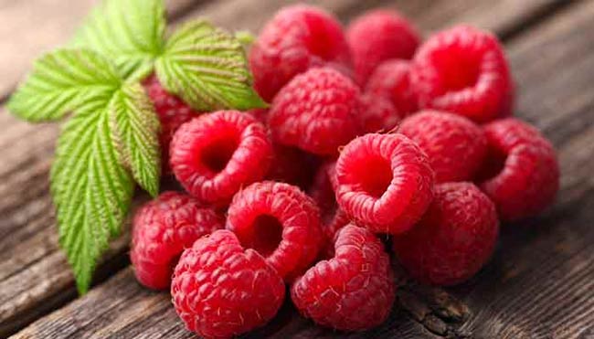 تمشک قرمز در پریمنتا نوتراکس برای یائسگی زنان