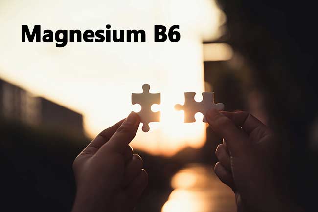 ساشه مگنی بست نوتری بست