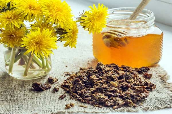 کپسول پروپولیس