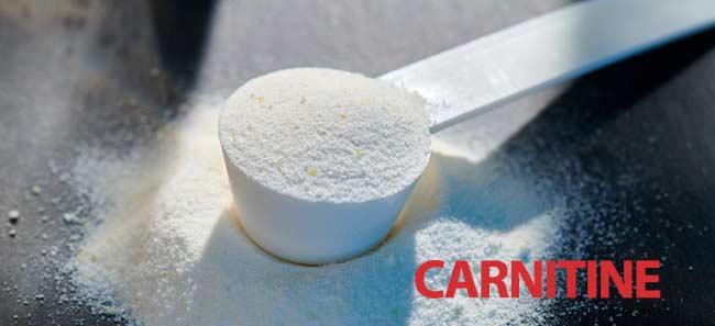 خرید ال کارنیتین 1000 پگاه