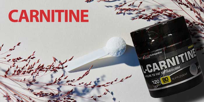 ال کارنیتین اولترا پاور پگاه