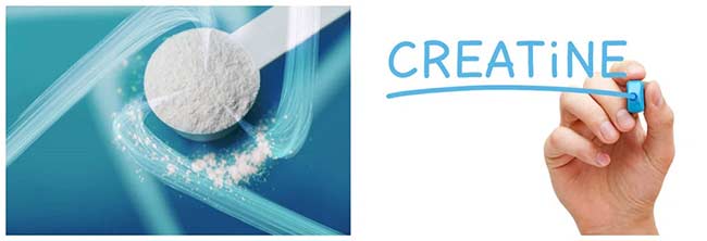 تاثیر ال کارنیتین در بدن